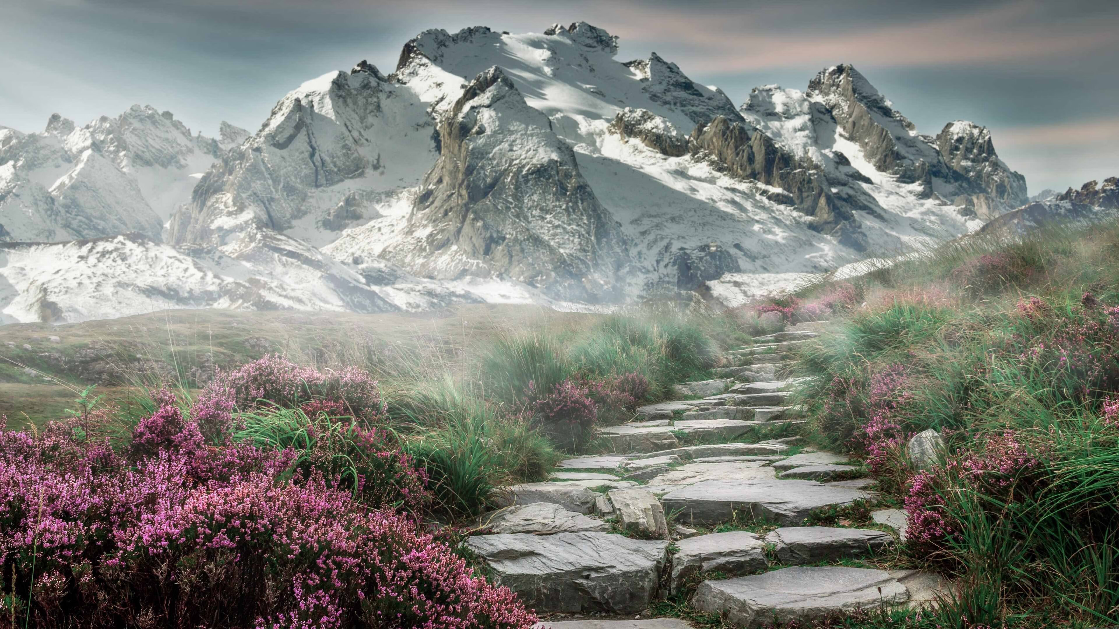 v7.2.5 优化版正式发布，2026年4月10日，开启智能体验新纪元